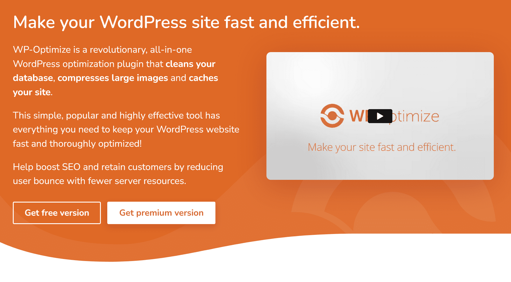 WP Optimize