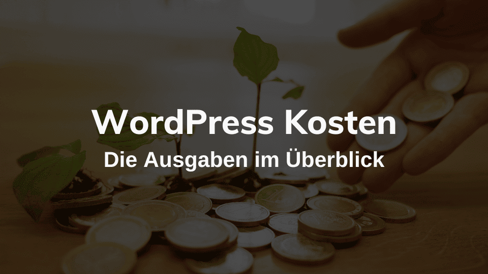 WordPress Kosten im Detail: Mit diesen Ausgaben musst du rechnen